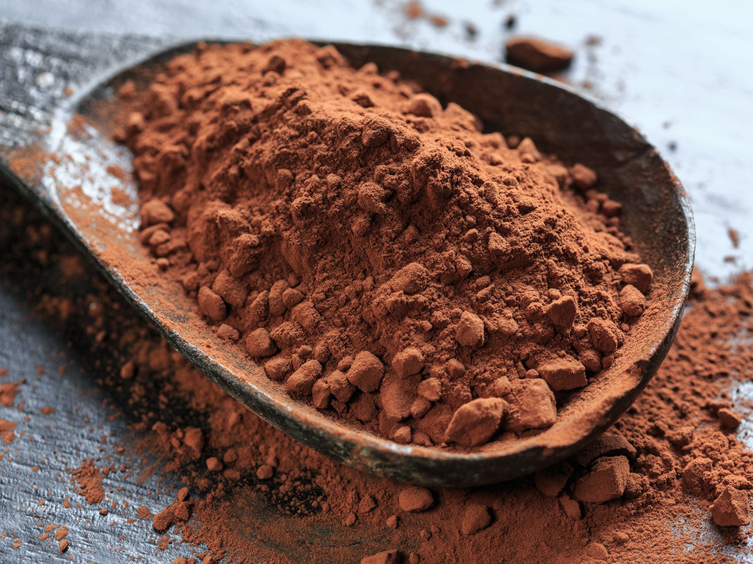 فروش آنلاین بهترین پودر کاکائو برای شکلات سازی