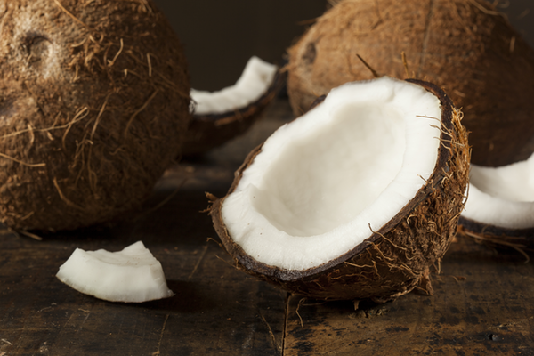 نحوه تولید پودر نارگیل Coconut Powder