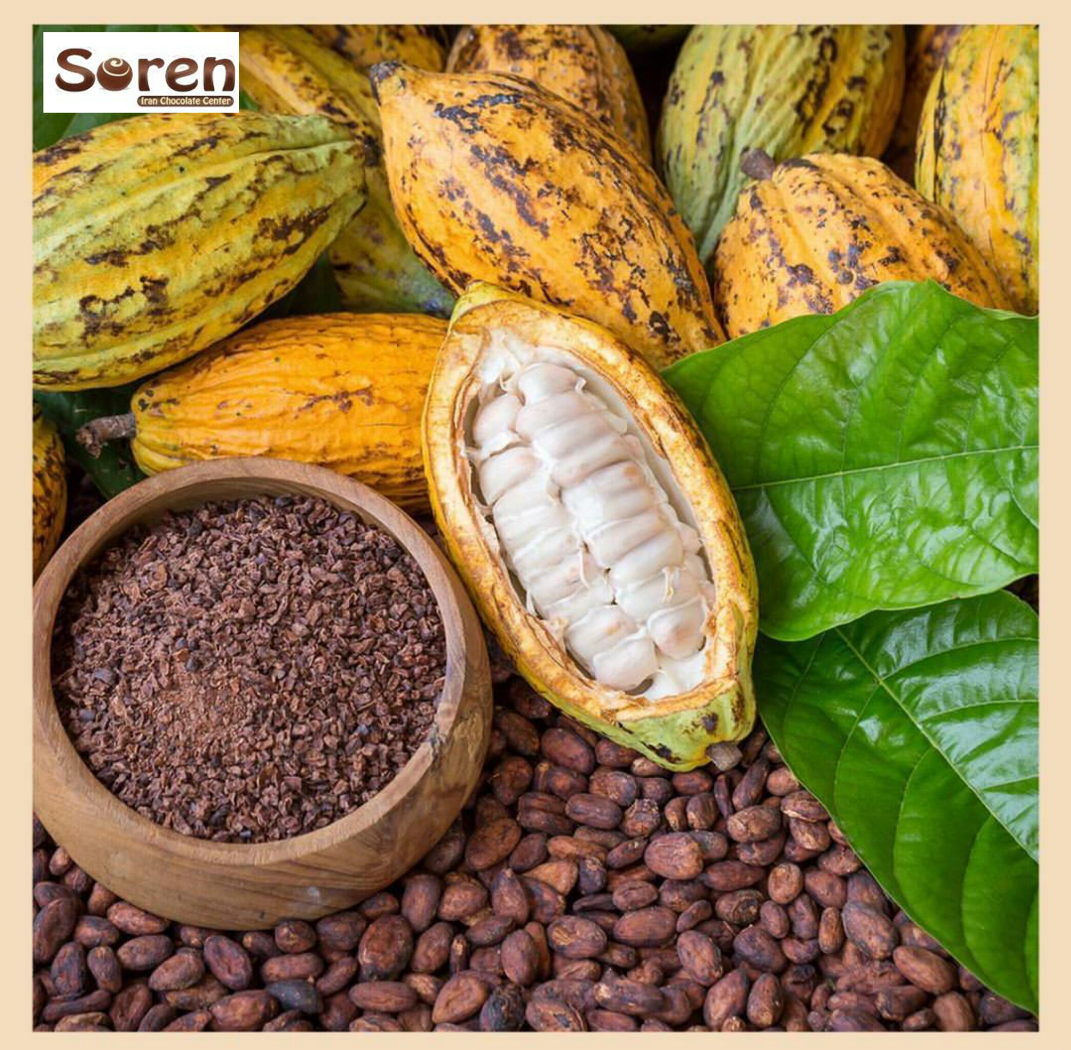 واردکنندگان و فروشندگان عمده پودر کاکائو