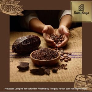 فروش عمده پودر کاکائو